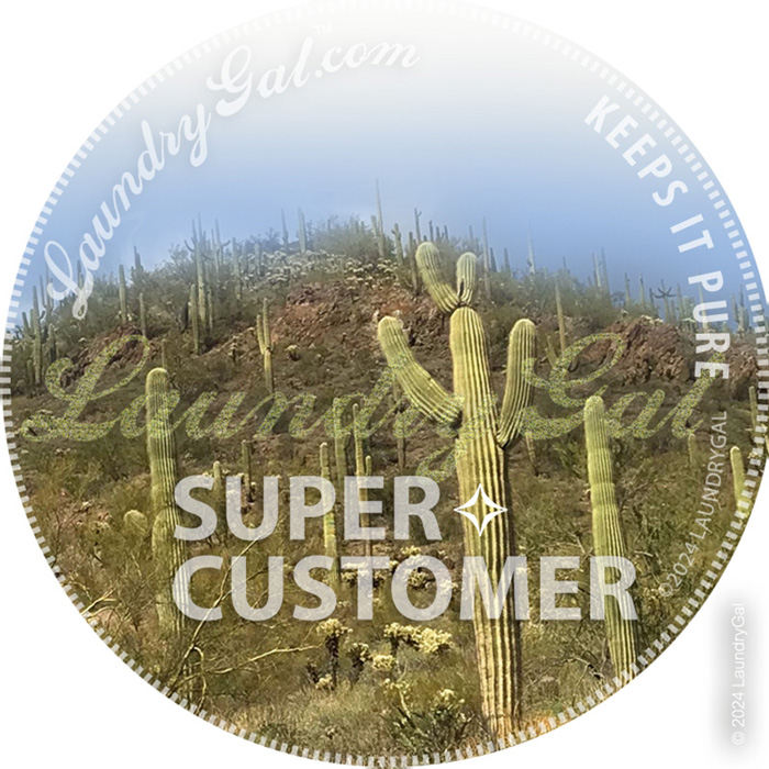 Dan S. Detergent Super Customer